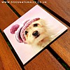 Lovely Dog Large Gift Magnet (Maxwell) Rachael Hale